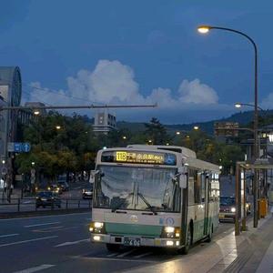 香蕉视频一时一时爽www
